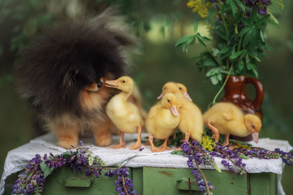 Photograph by Марта Козел