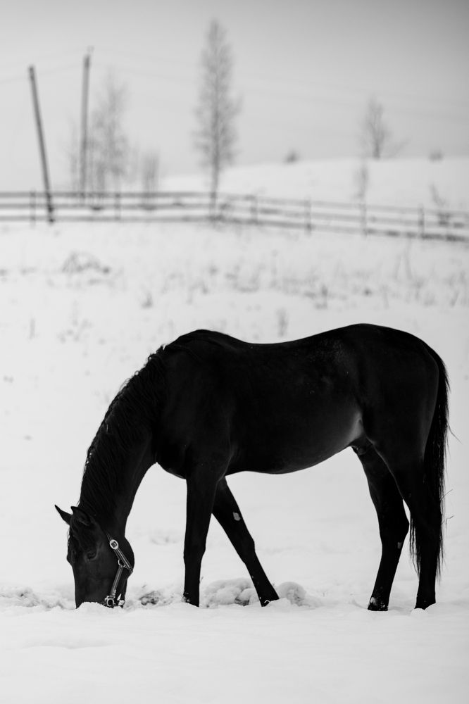 Фотография автора Aamoda Kitchen