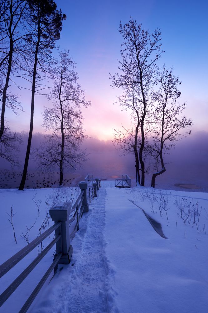 Photograph by Ivan Stupa