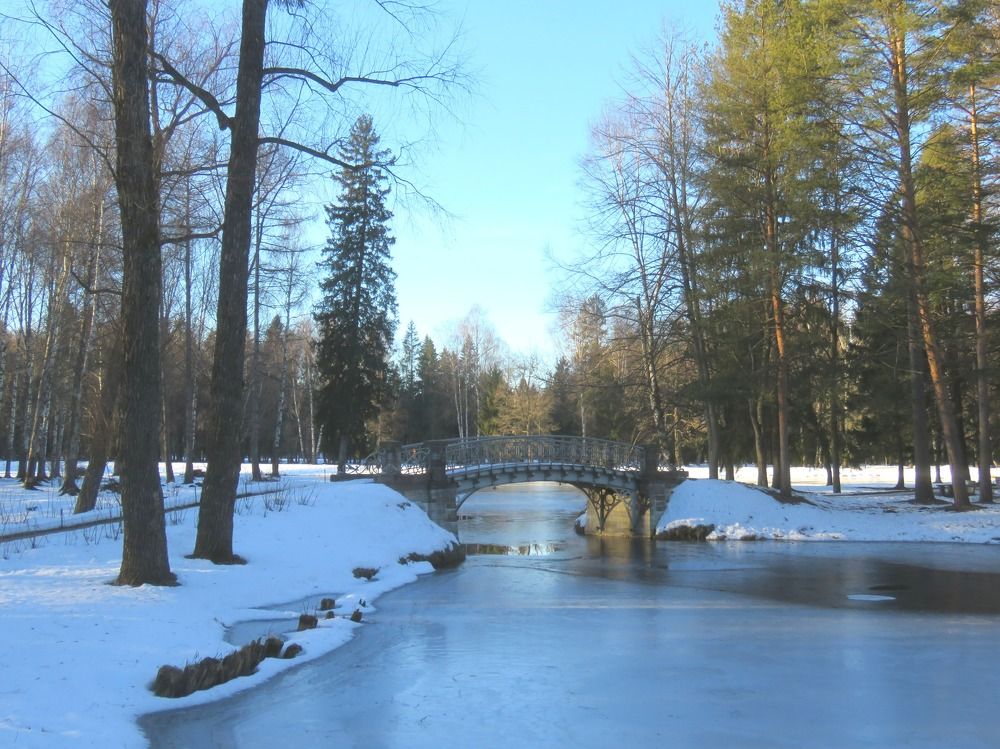 Photograph by Галина Пименова