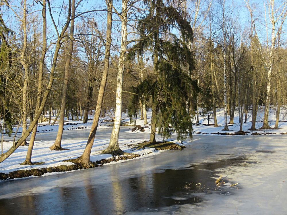 Photograph by Галина Пименова