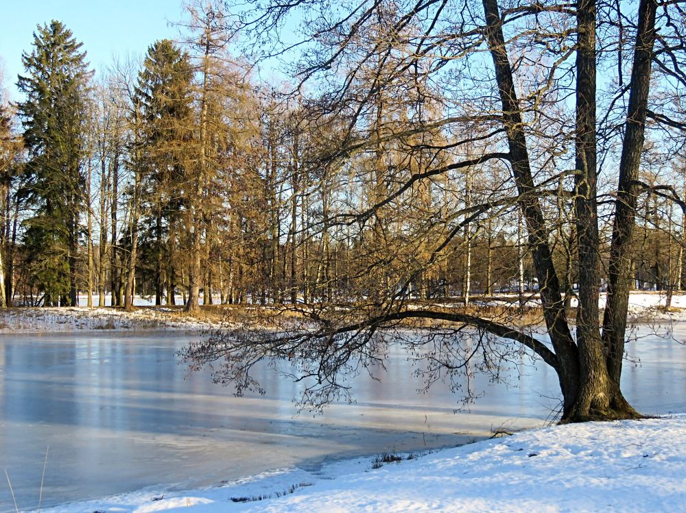 Photograph by Галина Пименова