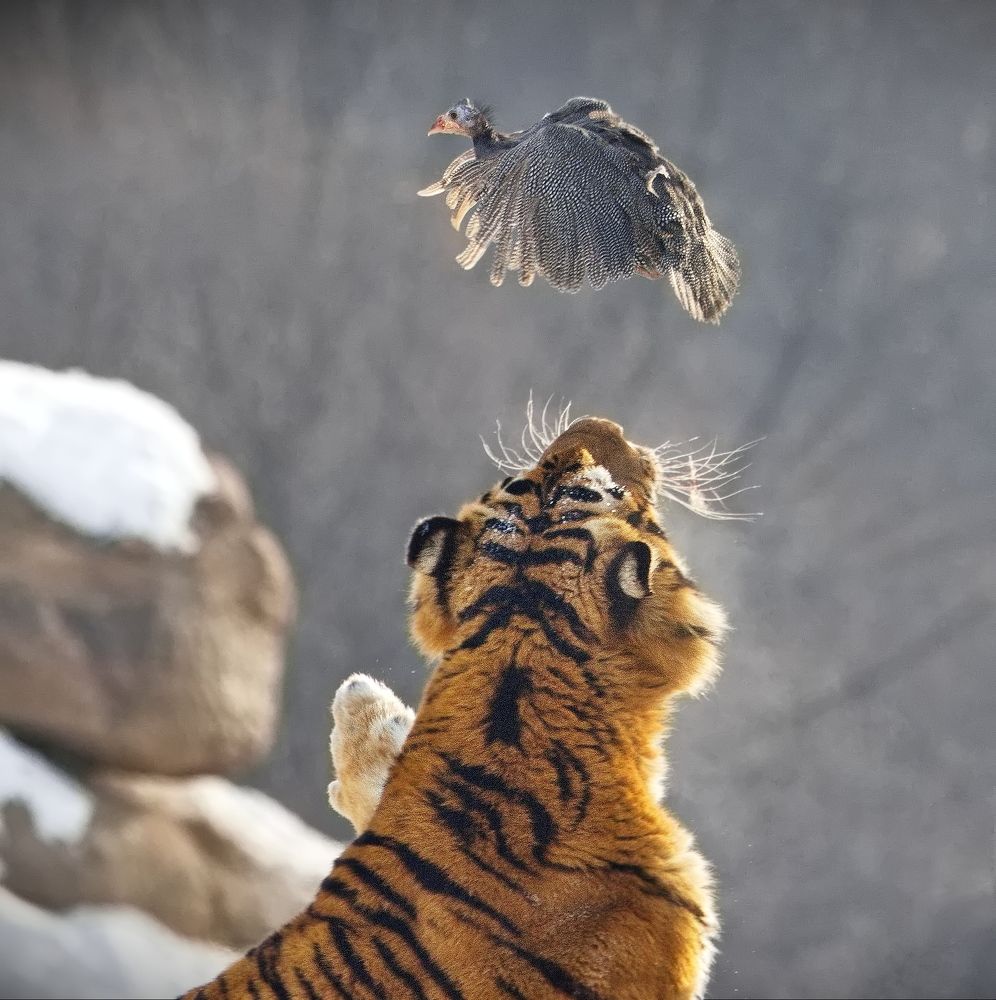 За секунду до...