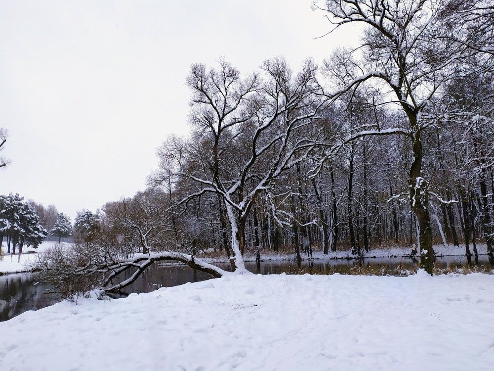 Photograph by Людмила Муравьева