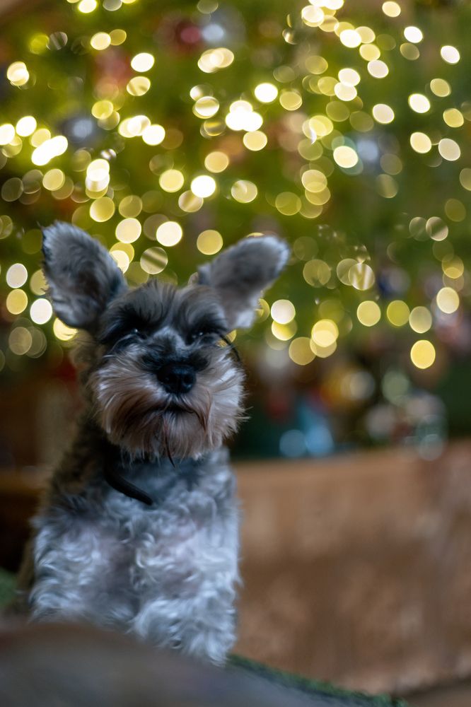 Photograph by Альфия Булатова