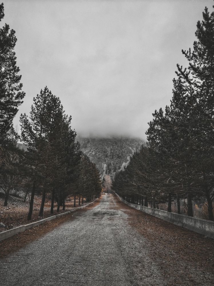 Дорога на дамбе