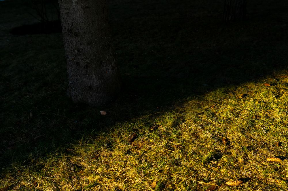 Фотография автора Aamoda Kitchen