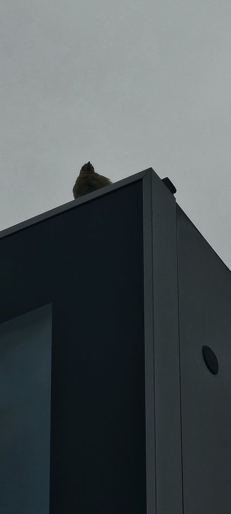 Photograph by Gr Marie