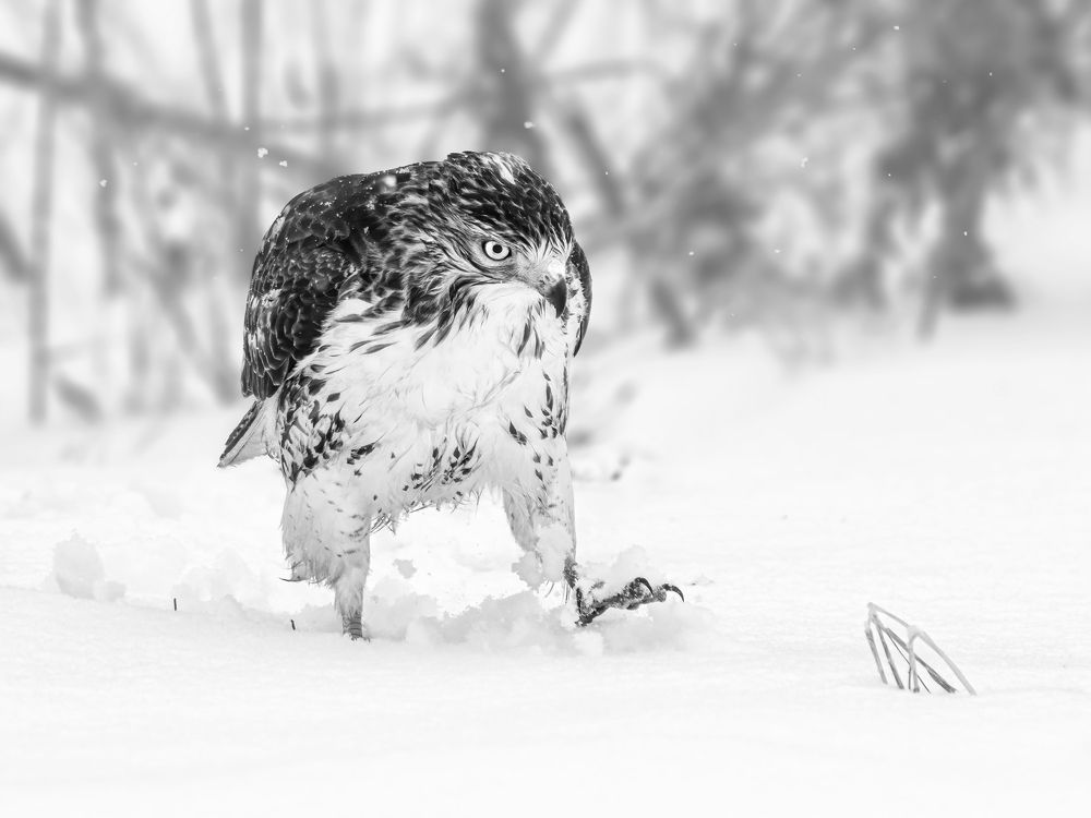 Photograph by Zhenhuan Zhou