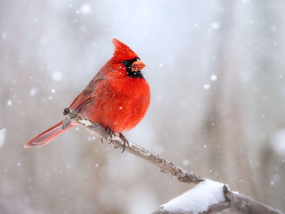 Photograph by Zhenhuan Zhou