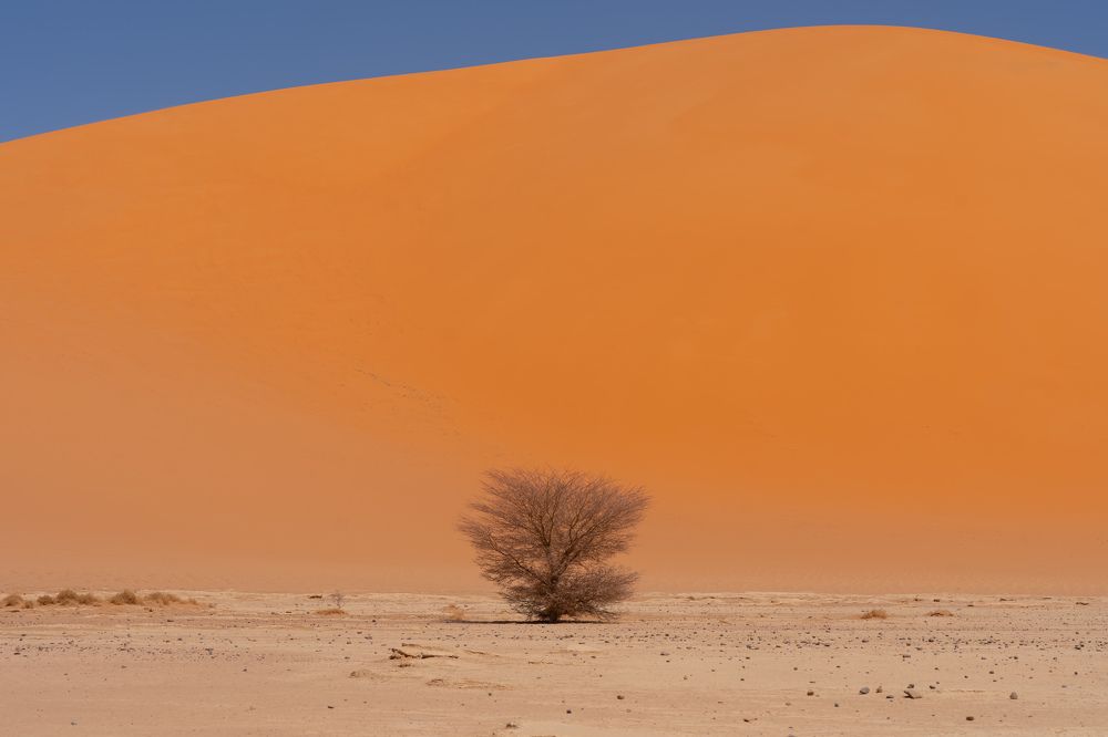 Фотография автора Светлана Зимина