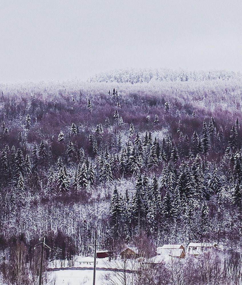 Photograph by Евгения Суслова