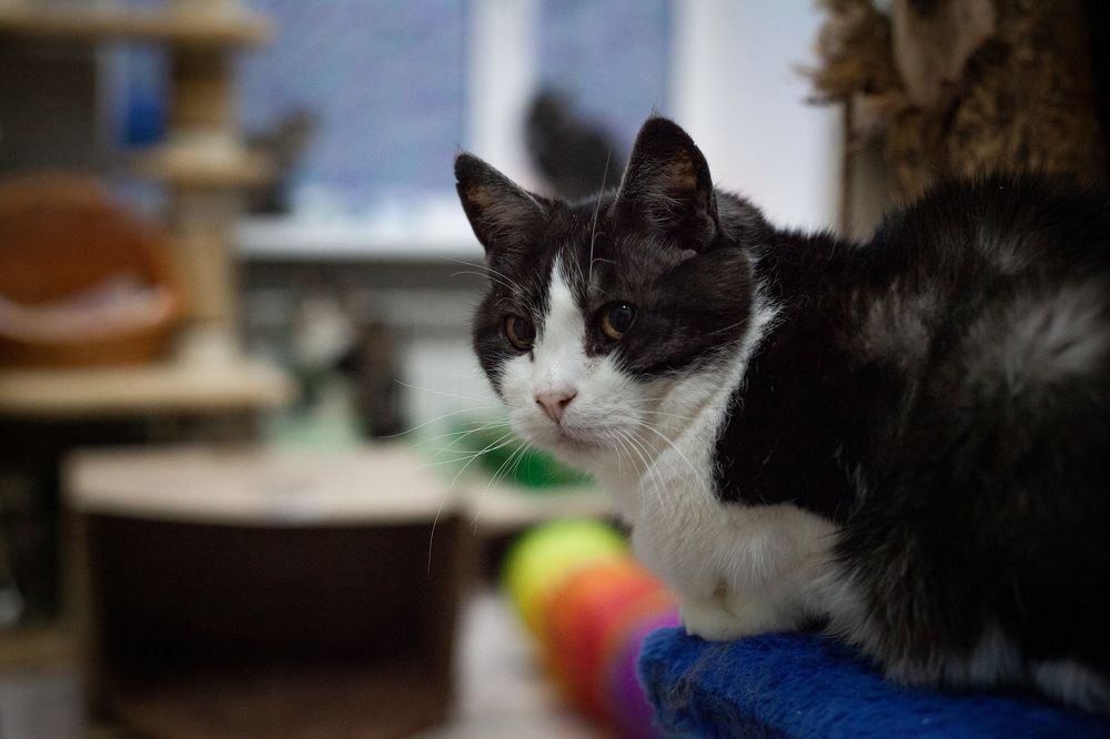 Photograph by Анна Брагина