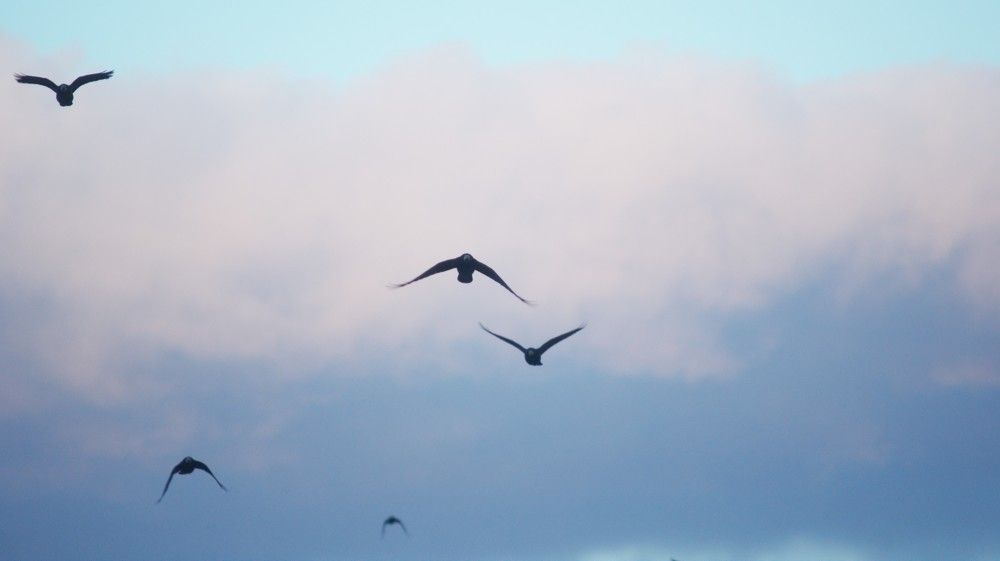 Photograph by Юлия Шадрина