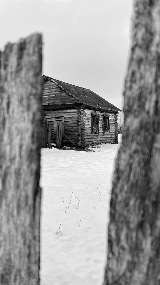 Photograph by Ленар Маликов