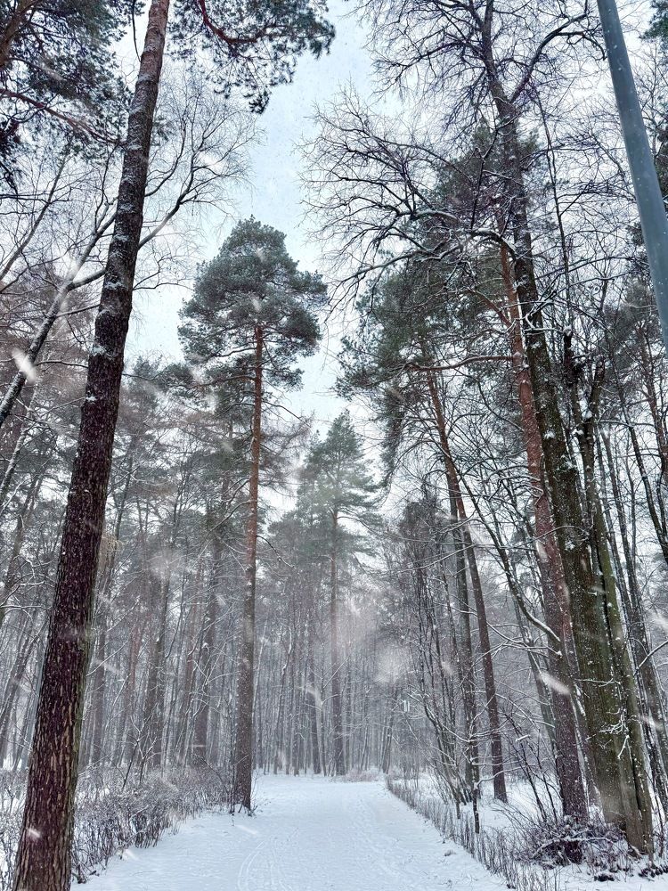 Photograph by Шувалова Мария