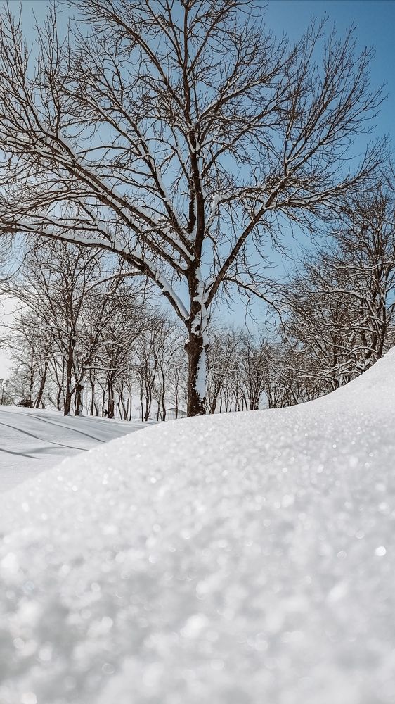 Photograph by Наталия