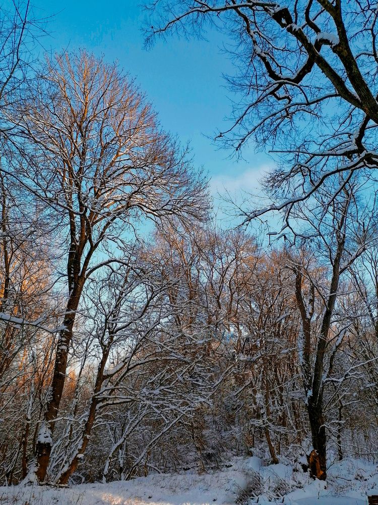 Photograph by Наталия