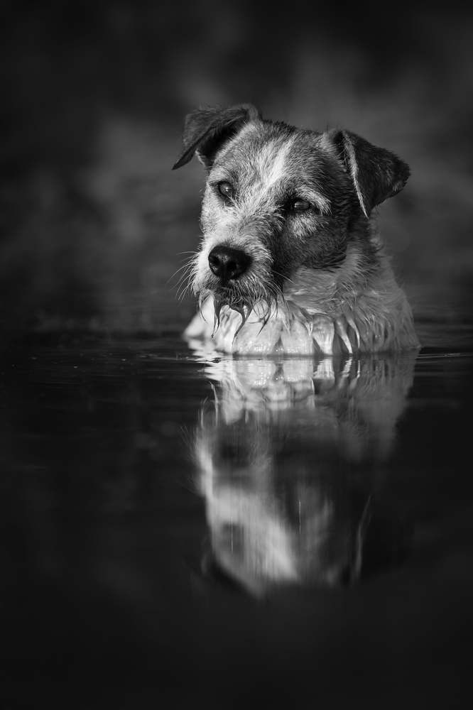 Photograph by Jelena Potrebic