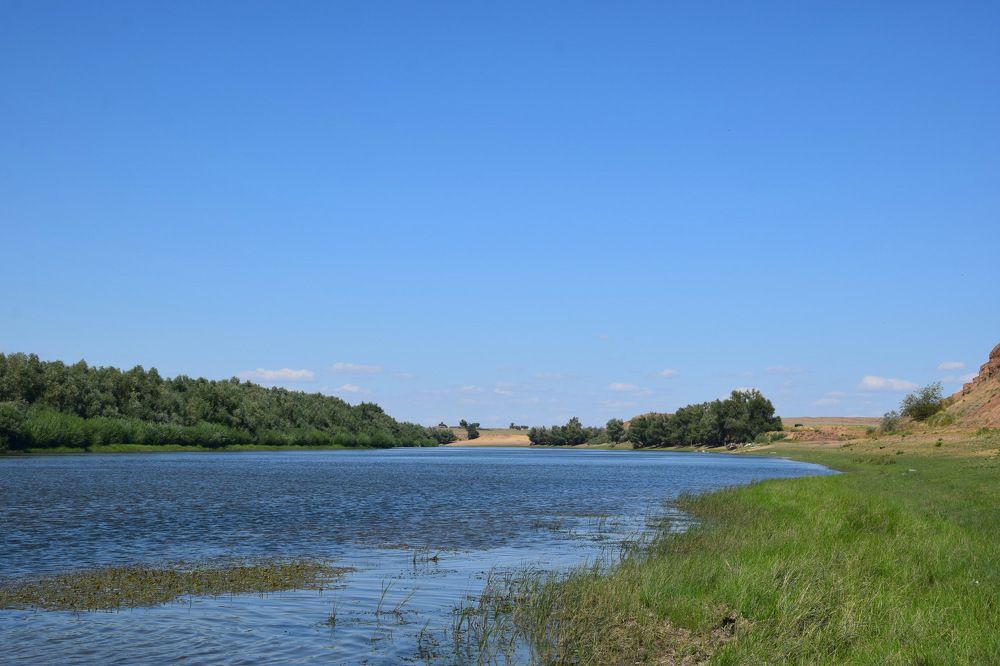 Photograph by Ирина Федичева