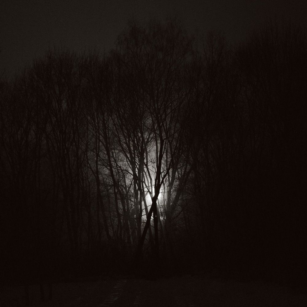 Photograph by Виктор Чернышов