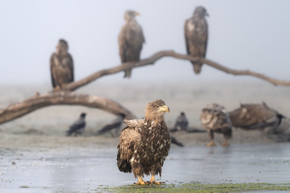 Photograph by Dejan Zakic