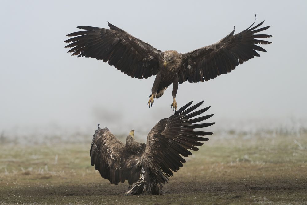 Photograph by Dejan Zakic