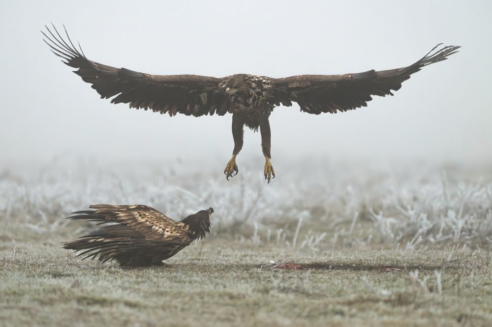 Photograph by Dejan Zakic