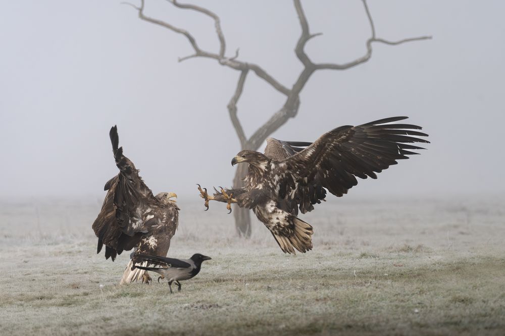 Photograph by Dejan Zakic