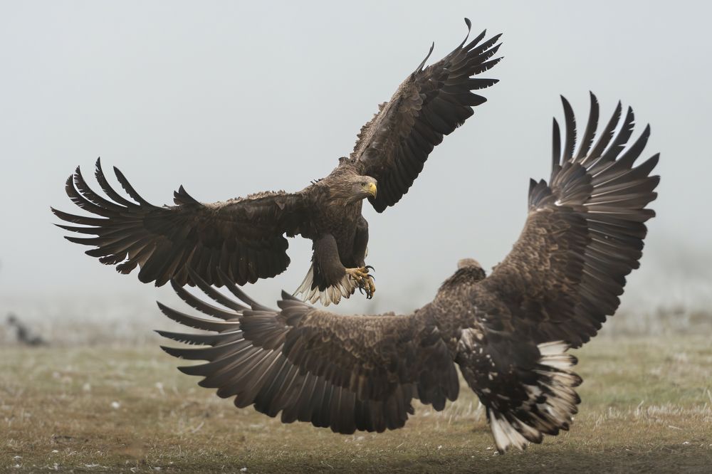 Photograph by Dejan Zakic