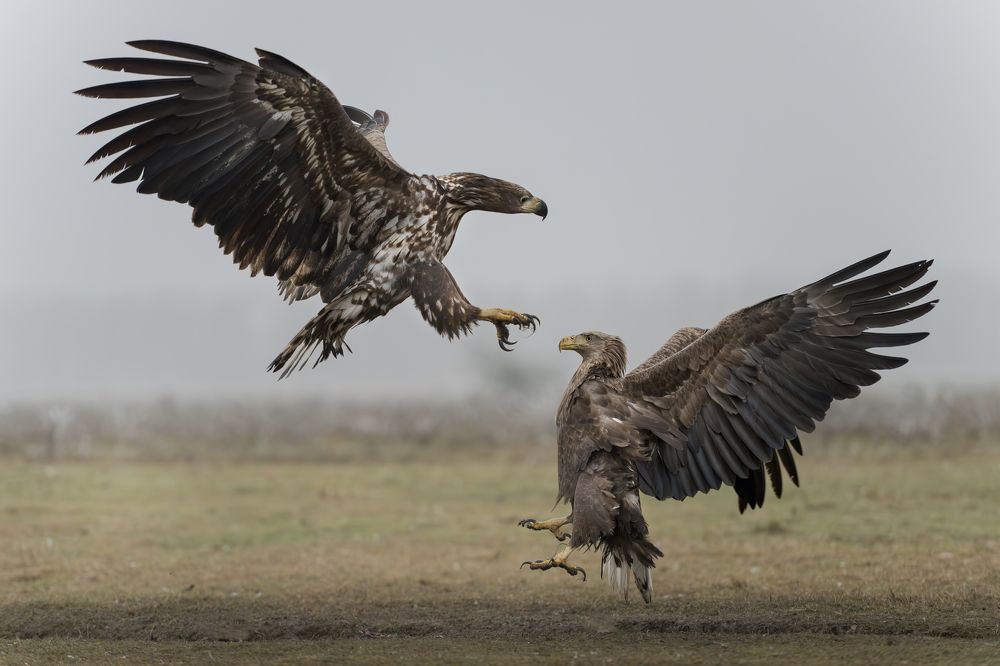 Photograph by Dejan Zakic