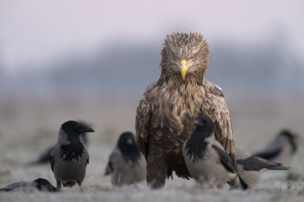 Photograph by Dejan Zakic