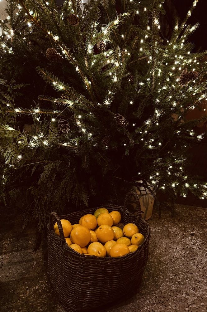 Photograph by Jekaterina Michejeva