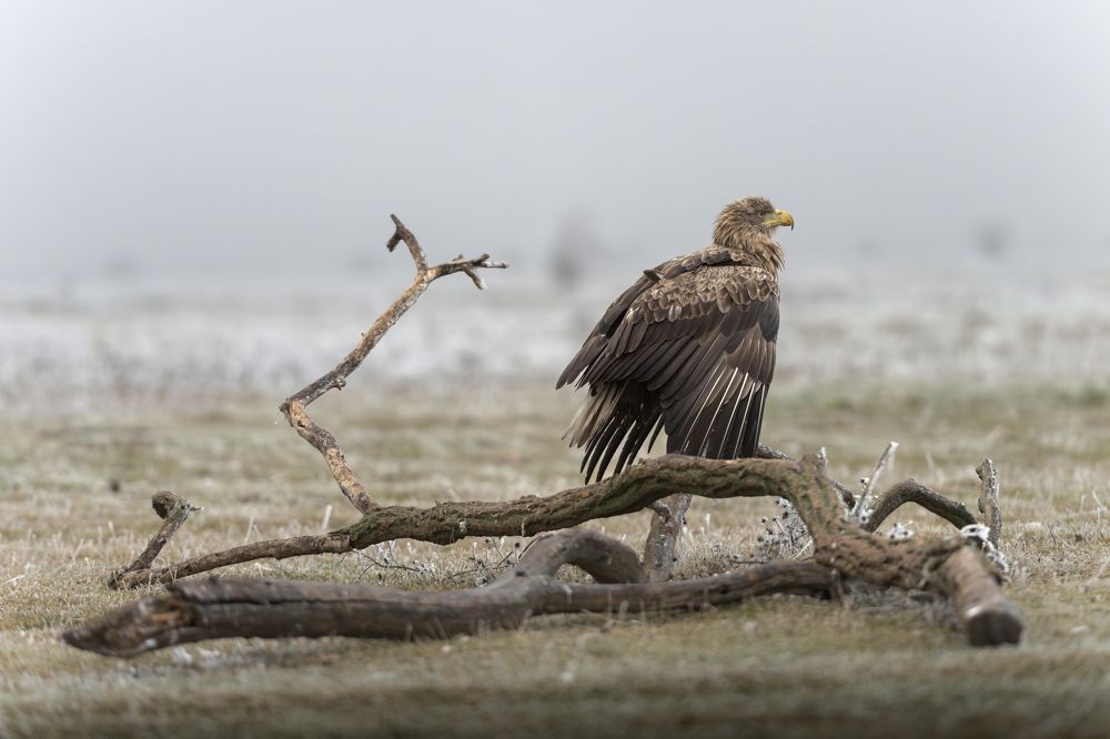 Photograph by Dejan Zakic