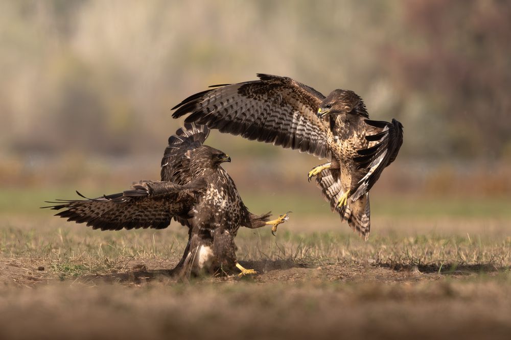 Photograph by Dejan Zakic