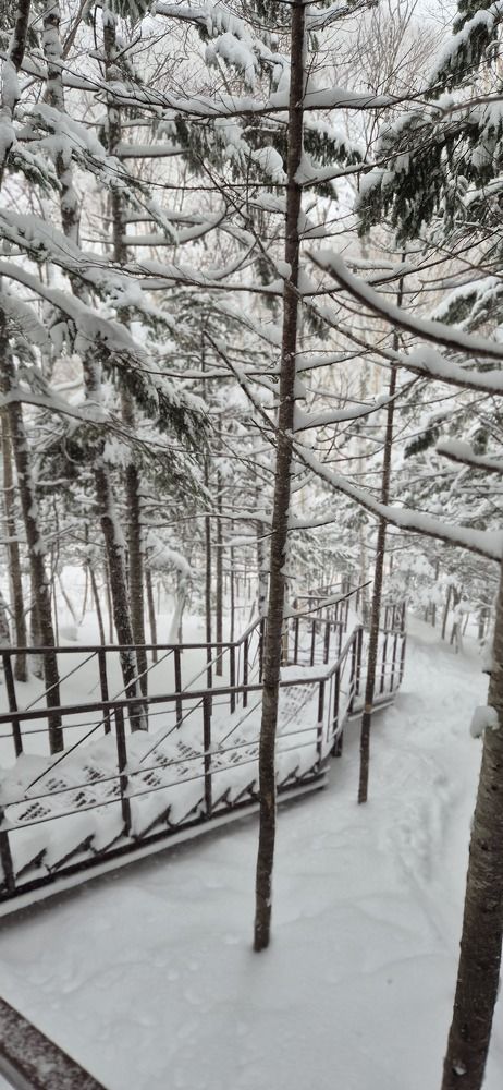 Photograph by Денис Заславский