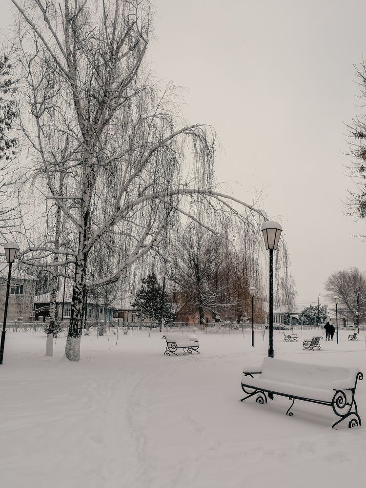 Photograph by Наталия