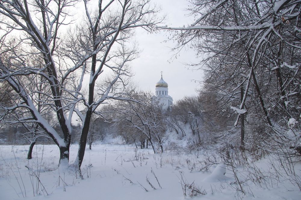 Photograph by Дмитрий Потапов