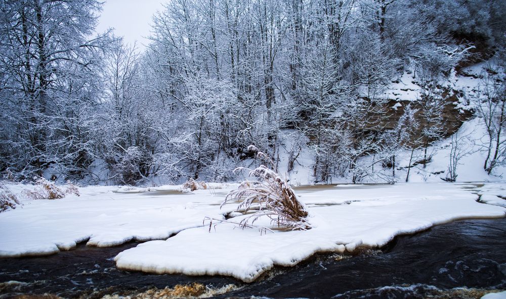 Фотография автора Виктор Конев