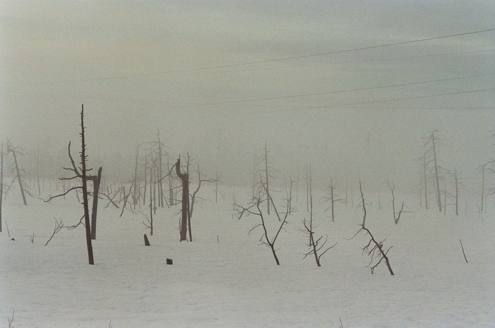 Photograph by Галя Аникина