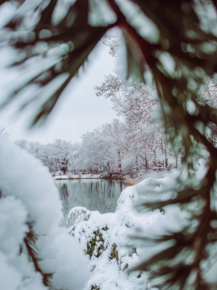 Photograph by Александра Сафронова