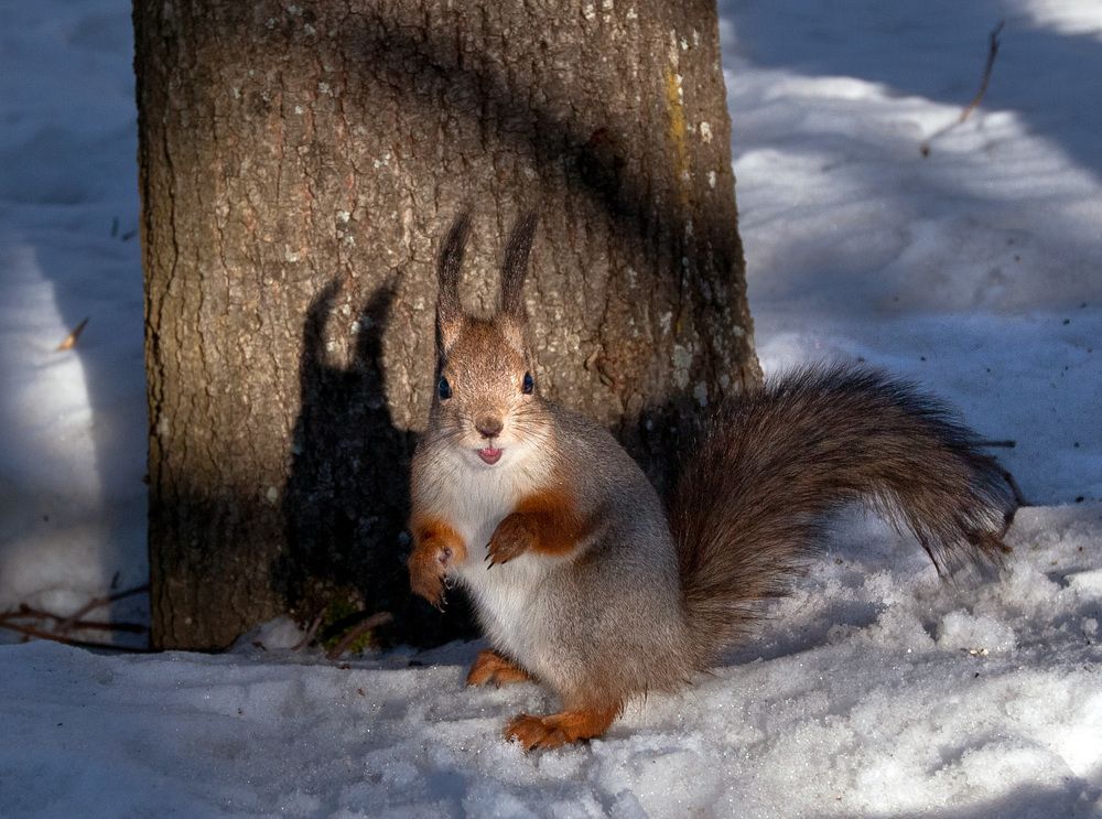 Фотография автора Ольга Виноградова