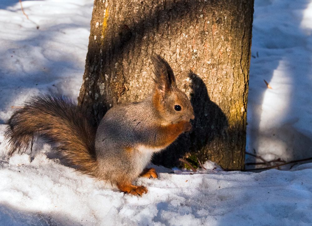 Фотография автора Ольга Виноградова