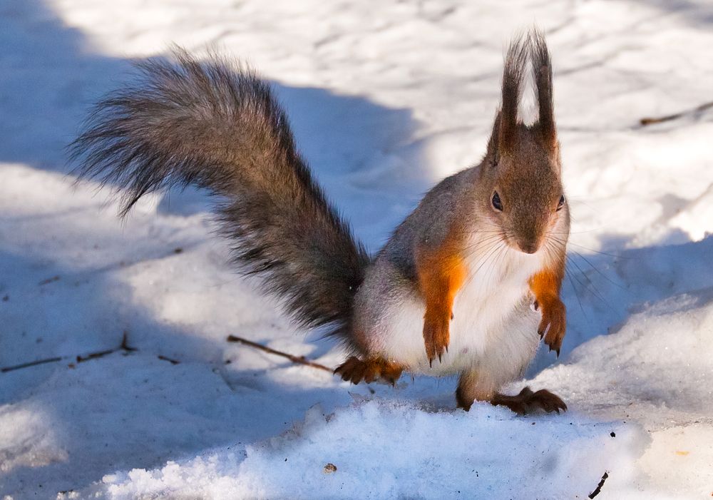 Фотография автора Ольга Виноградова