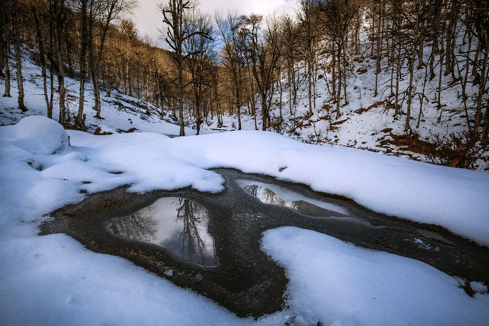 Photograph by Hossain Pourhasan