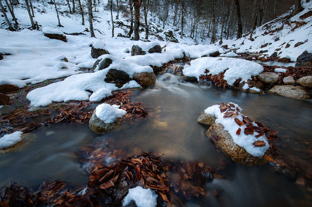 Photograph by Hossain Pourhasan