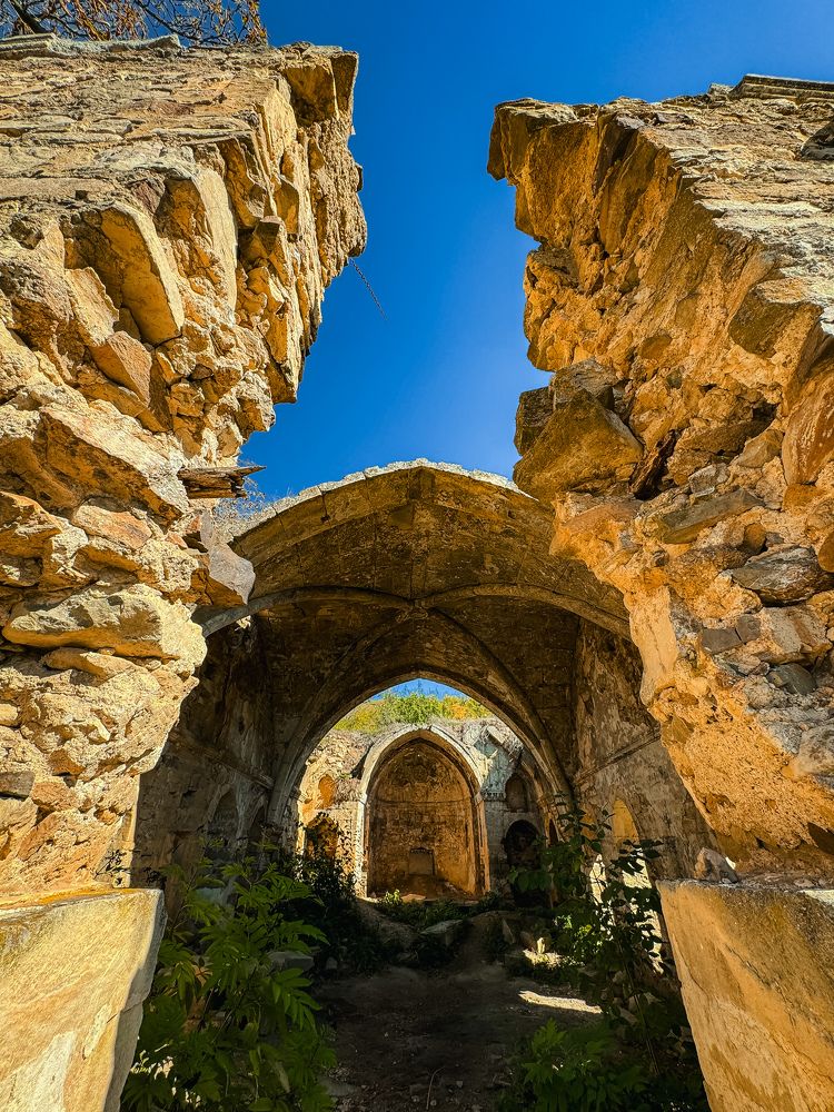 Photograph by Александра Сафронова