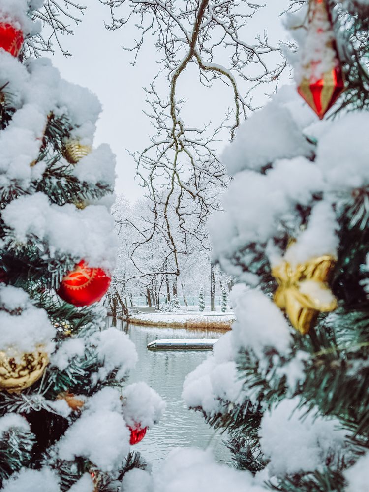 Photograph by Александра Сафронова