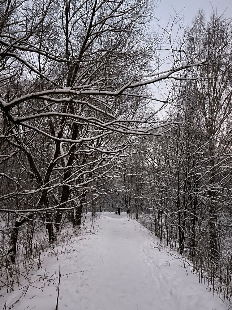 Photograph by Юлия Давшан