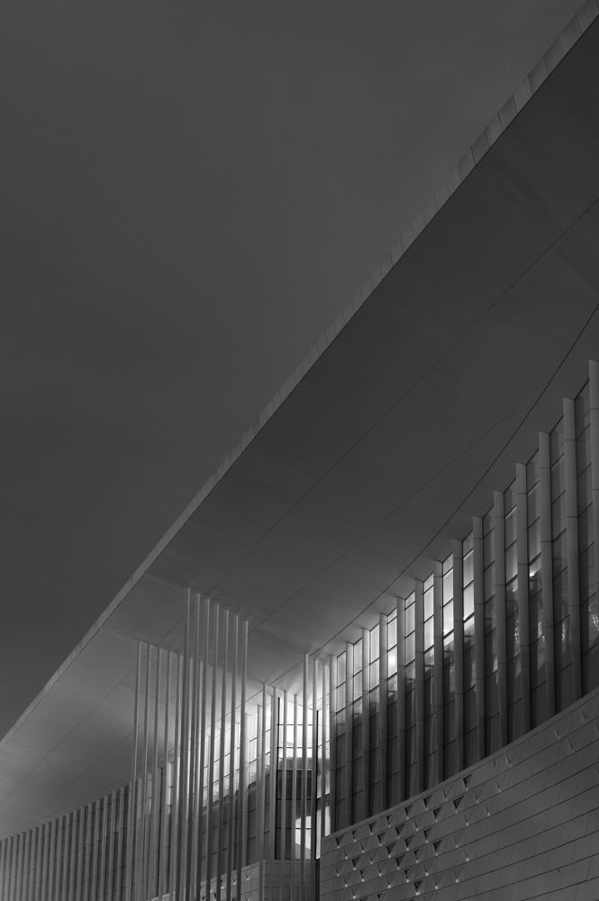 Photograph by Hongqiao Tong